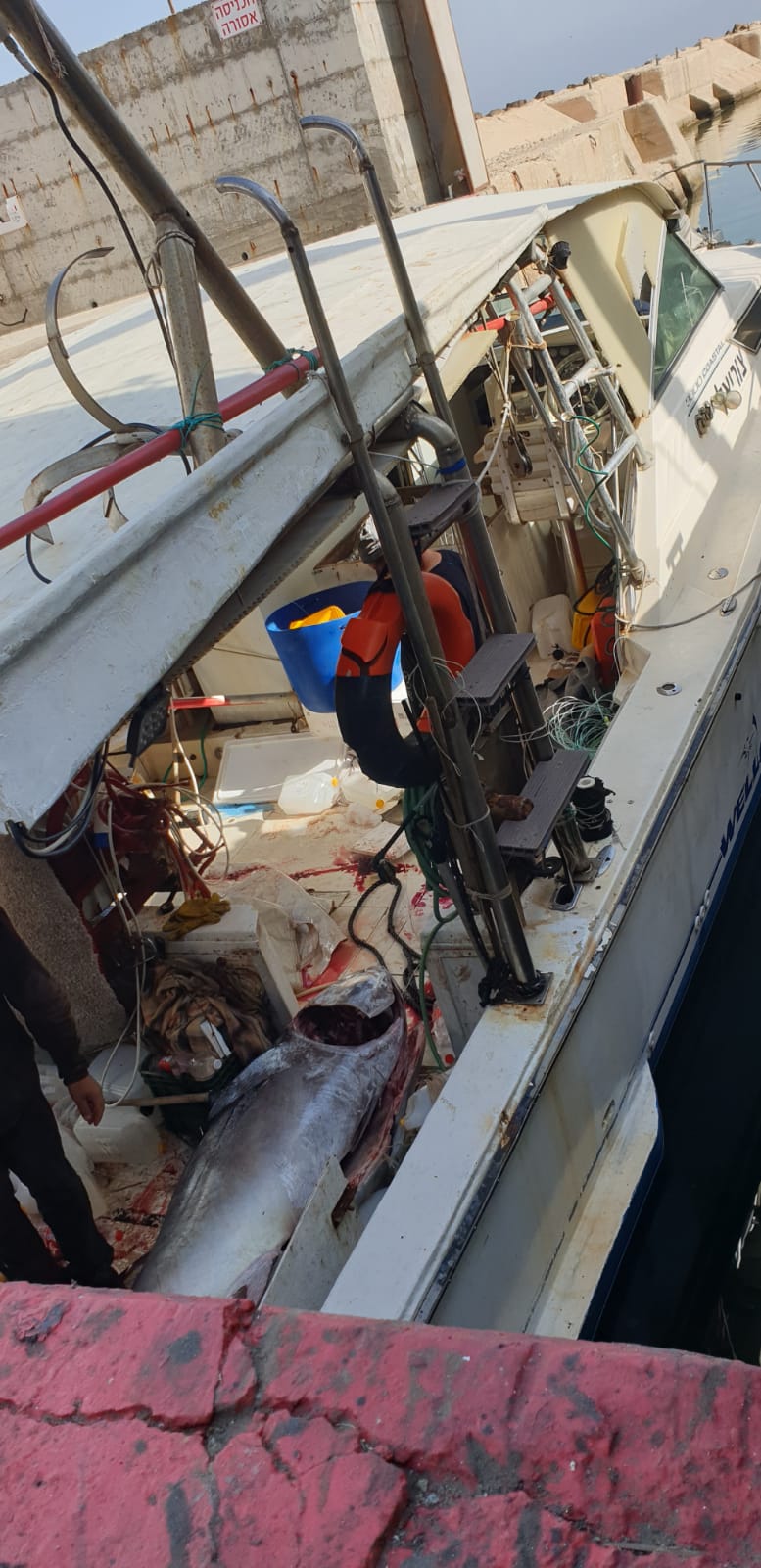 WhatsApp Image 2020-05-13 at 9.01.54 AM (2).jpeg.jpeg